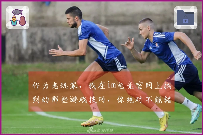 作为老玩家，我在im电竞官网上找到的那些游戏技巧，你绝对不能错过！